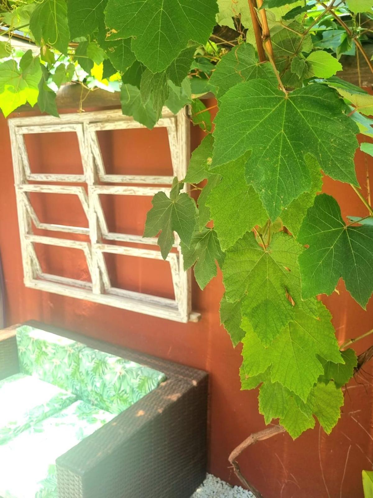 Vila Jabutis 과루자 외부 사진