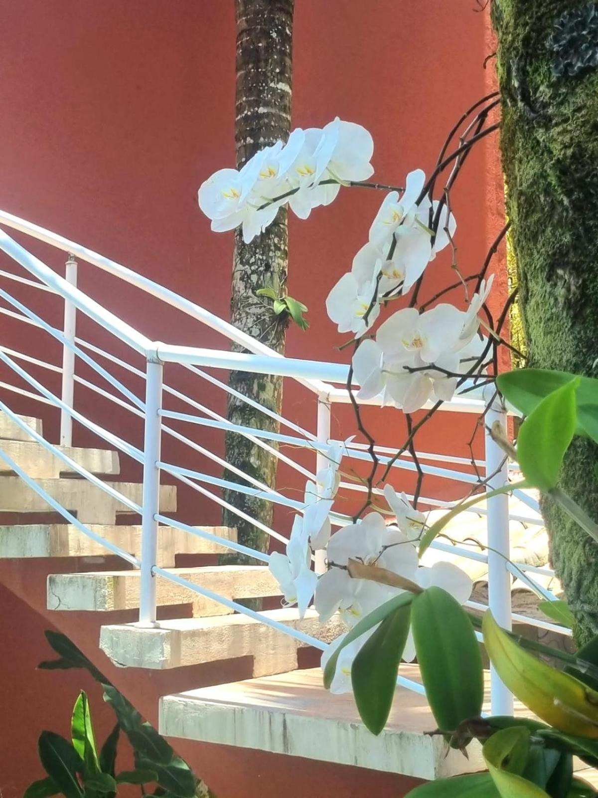 Vila Jabutis 과루자 외부 사진
